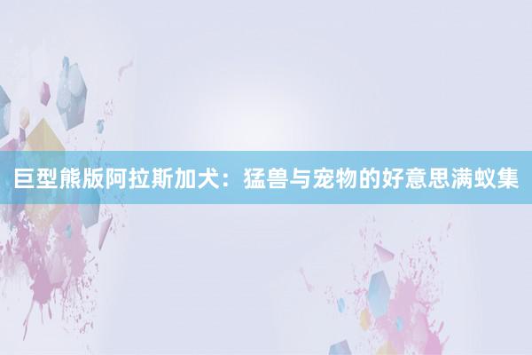 巨型熊版阿拉斯加犬：猛兽与宠物的好意思满蚁集