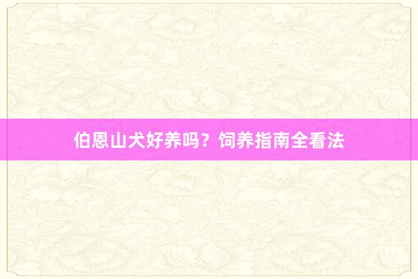 伯恩山犬好养吗？饲养指南全看法