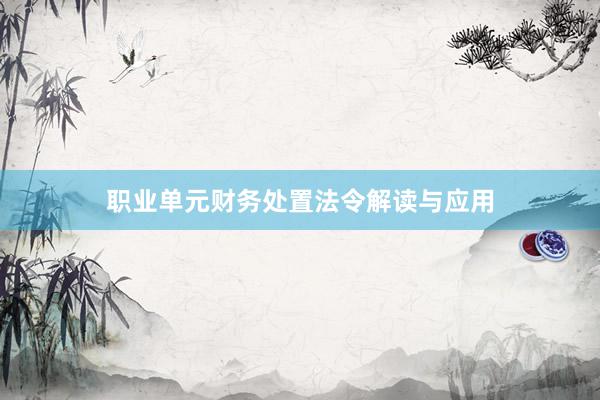 职业单元财务处置法令解读与应用